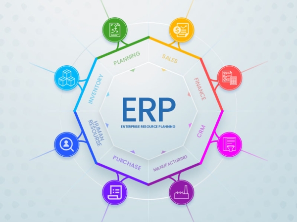 Más allá de la IP: Cómo las empresas gestionan su 'dirección' de datos y operaciones Más allá de la IP: Cómo las empresas gestionan su 'dirección' de datos y operaciones